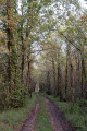 Dans les bois de Chinault