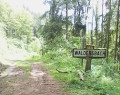 Dans les bois de Waldersbach