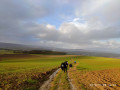 Dans les champs sous la pluie et le vent