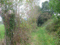 Dans un paysage de bocage préservé