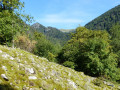 Dans vallon de la Wormsa et vue sur les Spitzkoepfe