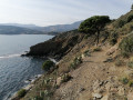 Le Cap Béar et l'Anse de Paulilles depuis Port-Vendres