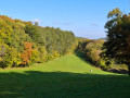 Tour de Jaugey à Grenant
