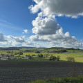 Circuit entre Madon et forêt