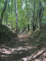 Début du chemin forestier