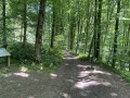 Début du circuit en forêt