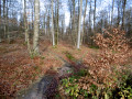Start of the route