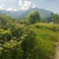 Début du raccourci et vue sur le massif de la Majella