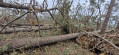 Dégâts provoqués par la tempête Ciaran audessus de Morgat