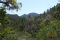 Dent de l'Ours et Pic de l'Ours