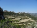 Dentelles Sarrasines depuis le Grand Montmirail