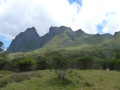 Depuis la plaine des Tamarins