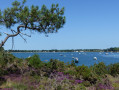 depuis la pointe du Berchis