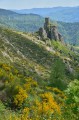 Dernière vue avant la forêt