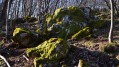 Des rochers et de la mousse