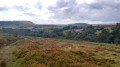 Hawnby Moor and Hill