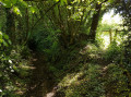 Descente dans un chemin creux