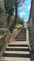 Boucle champêtre entre Villiers-Saint-Frédéric et Neauphle-le-Château