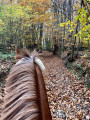 descente de parmenie en automne