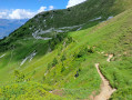 descente depuis le col du Seuchet