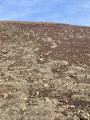 Tour du volcan de Calderón Hondo