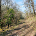 Le circuit du Malbec à Saint-Vincet-Rive-d'Olt