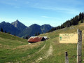 Descente du col des Boeufs