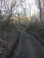 Bois d'Aix et étang