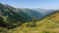 Le Plateau de Campsaure à partir d'Hospice de France