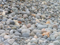 Campagne de Plozévet et bord de mer par Penhors