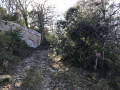 Sur les crêtes du Grand Luberon