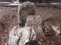 Dolmen à Brevilliers