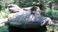 Dolmen de "La Haute -Côte"