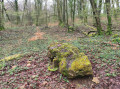 dolmen de la Pierre qui Tourne