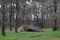 Dolmen de la Pierre Saint-Martin