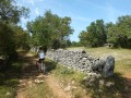 Dolmen de la Table Roux