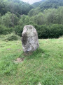 Dolmen de Peyre Quillado