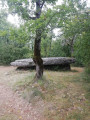 Dolmen de Peyro Levado