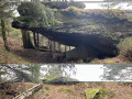 Dolmen méridonial