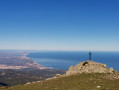 Doumic