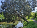 Du Bleu et du Vert à la Vallée de l'Amitié