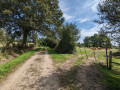 Du bocage, des arbres et des vaches !