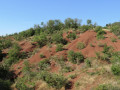 Dunes de Maraval