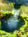 Boucle pure nature à Biourge