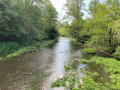 Le Loing à Conflans-sur-Loing (45)