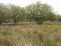 Autour du Marais et du Polder de Mousterlin