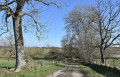 Entre champs et bois à Manoncourt-en-Vermois