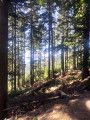 En contrebas du col du Gratteau