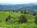 En haut de la Roche d'Ajoux