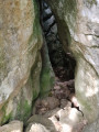 Le Bois de Païolive (petite boucle)